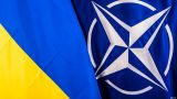 Экс-советник Пентагона: Неудача на Украине привела Запад к расколу в НАТО