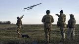 Украина запросила у ФРГ разведывательные дроны