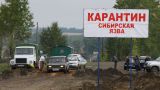 В Казахстане из-за паводков возникла опасность распространения сибирской язвы