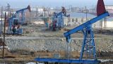 ОПЕК спрогнозировала добычу ЖУВ в Азербайджане