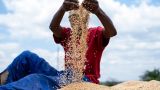 Россия поставила странам Африки 200 тысяч тонн пшеницы в качестве гуманитарной помощи