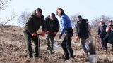 «Укроп из Украины»: Молдавия при Санду вынуждена импортировать продукты питания