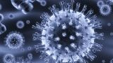 За прошедшие сутки в России выявлено 15 099 новых случаев коронавируса