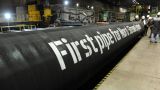 «Газпром» начнет строительство «Северного потока-2» летом