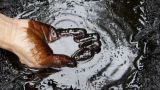 В Ингушетии хотят возобновить промышленную добычу нефти