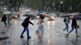 Гидрометцентр предупредил о сильных дождях в 14 регионах России