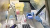Scientific American: Чем помогут исследования на антитела к Covid-19