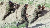 В Таджикистане продолжается ликвидация мятежников