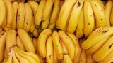 В России дали задний ход: проштрафившемуся Эквадору разрешили ввозить бананы