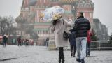 Гидрометцентр прогнозирует потепление в Москве к 24 ноября