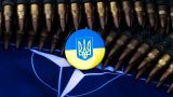 Эксперты ООН уличили Киев в массовом применении боеприпасов НАТО
