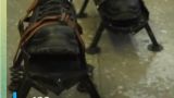 На Украине придумали очередные противоминные ботинки — видео
