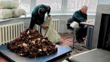 Таможенники в Уссурийске обнаружили более тысячи чебурашек у китайца