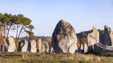 Во Франции ради постройки магазина снесли «стоунхендж» 7000-летней давности