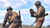 Уничтожение ВСУ на запорожском направлении, бои под Артемовском — ситуация на утро