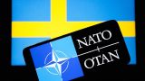 Венгерский парламент проголосует по членству Швеции в НАТО осенью