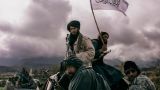 Талибан* стал представлять опасность для стран Центральной Азии — АТЦ СНГ