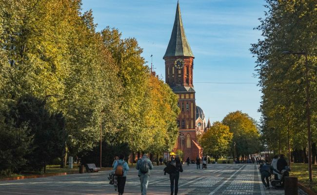 В Калининграде произошло массовое отравление школьников