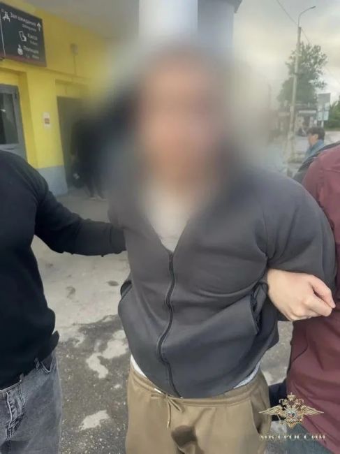 МВД: в Ленинградской области задержан подозреваемый в убийстве 12-летней девочки