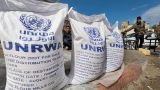 Израиль предложил ООН распустить БАПОР