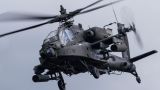 Двое военнослужащих США погибли при падении вертолета в Техасе