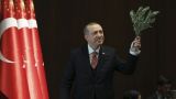 Эрдоган анонсировал день посадки в Турции: 11 ноября 11 млн саженцев