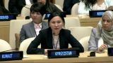 Киргизия пожаловалась в ООН на Казахстан из-за ситуации на границе