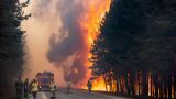 В шести регионах России сохраняется высший уровень пожарной опасности