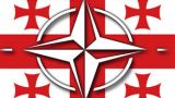 Грузия не получит ПДЧ на брюссельском саммите НАТО — Люк Коффи