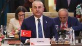 «Больше пяти»: Турция вновь призвала к реформе Совбеза ООН