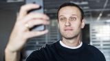 Призывал бомбить «грызунов»: в Тбилиси забыли, кто такой Навальный — мнение