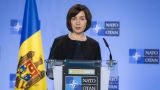 Санду «скармливает» Молдавию НАТО, чтобы её «стерли» о Россию — СВР России