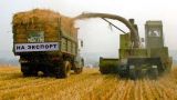 Белоруссия закупит у России полмиллиона тонн зерна