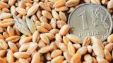 Пшеничные козыри России: расчеты за экспорт зерна могут перевести в рубли