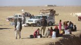 Власти Ирака: Запасов пшеницы в стране хватит только до осени