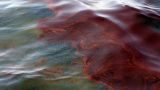Утечка нефти произошла в Мексиканском заливе
