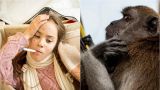 Минздрав Таджикистана готовится к появлению оспы обезьян в республике
