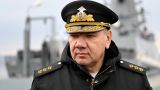 Официально: врио главнокомандующего ВМФ России назначен адмирал Александр Моисеев