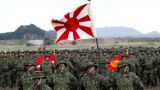 В Японии создали свою морскую пехоту для военных действий против Китая
