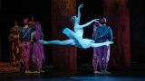 Приму Баварского балета вынудили уволиться после выступления в Севастополе