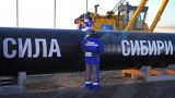 Газопровод «Сила Сибири» остановлен для регулярной профилактики