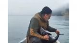 Рыбаки освободили дельфиненка, попавшего в сети у берегов Абхазии — видео