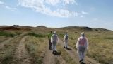 На границе смертельный вирус ходит хмуро: что нашли биологи США в степях Казахстана