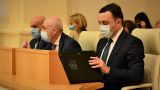 Госкомиссия вскоре представит план развития экономики Грузии — Гарибашвили