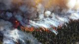 Синоптики МЧС прогнозируют крупные лесные пожары в Сибири