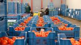 Условия для экспортёров корректируют на фоне роста спроса на продовольствие из России