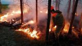 В России продолжается тушение лесных пожаров