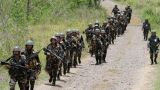 Reuters: филиппинские военные ликвидировали 15 боевиков ДАИШ