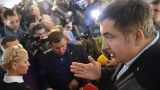 Чтобы легализоваться Саакашвили заявил о краже своего паспорта