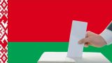Белорусскую оппозицию не пустили в комиссии по проведению референдума